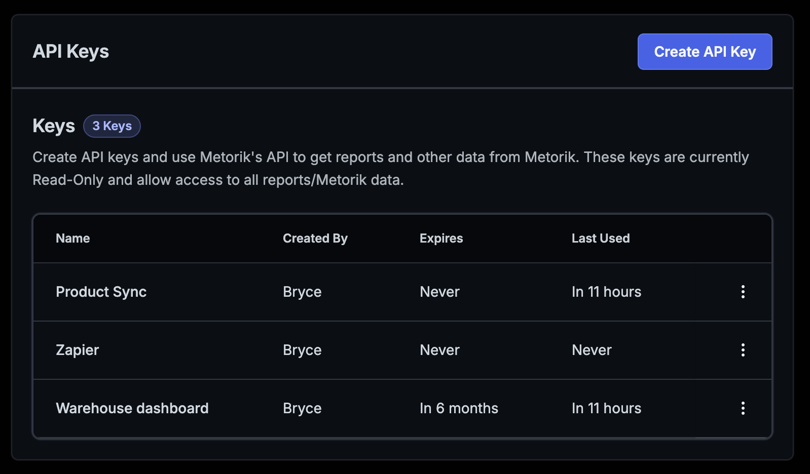 Metorik API Keys screen